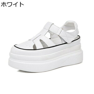 OfBG[^[ T_ fB[X  vbgtH[ [}  N[YhgD PUU[ t@Xi[ tďH h y h K n s ʋ o ʊw