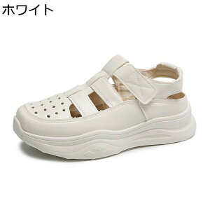 X|[cT_  fB[X N[YgD t@Xi[ Xj[J[T_   tďH ϖՐ ʋC h Sn ₷ ʋ ʊw  ItBX i s