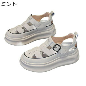 OfBG[^[ T_  fB[X [}  [Jbg Xj[J[T_ N[YhgD PUU[ tďH 6cmq[ ϋv ϊ f[g v EH[LO