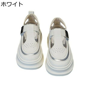 T_  fB[X ʃt@Xi[ N[YhgD 6cmq[ v   ANXgbv ʋC ɂ EȒP v s gx ʊw ʋ s Xj[J[