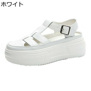 T_  fB[X OfBG[^[T_ vbgtH[ [} v t@Xi[ N[YgD PUU[ 5cmq[ tďH 芊~ f[g X|[c W[