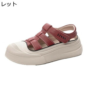 Xj[J[T_  fB[X t@Xi[ N[YgD [Jbg  X|[cT_ [} oCJ[  v JWA \tg ʋ ʊw o W[