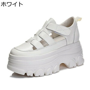 9cmq[ OfBG[^[ T_  [} fB[X t@Xi[ I[vgD v n EFbW\[  h ~ nCq[ vbgtH[ tďH