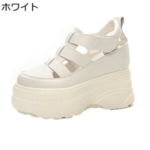 T_  EFbWq[ fB[X OfBG[^[T_ t@Xi[ [} N[YgD 9cmq[ PUU[   ҂ݏグ ʋC n W[ v gAbv