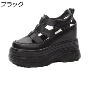 T_  EFbWq[ fB[X OfBG[^[T_ t@Xi[ [} N[YgD 9cmq[ PUU[   ҂ݏグ ʋC n W[ v gAbv