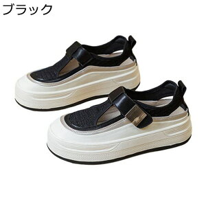 T_  fB[X bV Xj[J[ T_ [Jbg N[YhgD t@Xi[ lGKp 4cmq[ ϖՐ ʋC h \tg ʋ ʊw  f[[ i s