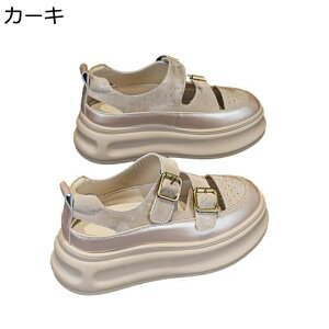 X|[cT_  fB[X _u obNt N[YhgD  v 6cmq[ vbgtH[ Xj[J[ T_  h JWA [Jbg ^bN ԕ