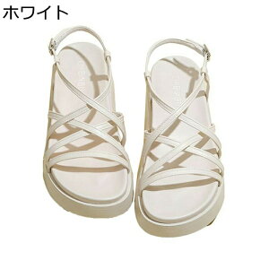 OfBG[^[ T_ fB[X  TCY vbgtH[ [} I[vgD ANXgbv Gi PUU[ tďH~ ϊ RtH[g i ʋ ʊw