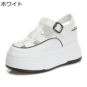 Xj[J[T_ fB[X X|[c T_   obNt [} vbgtH[ N[YgD 7cmq[ Cq[ nCq[ [Jbg  ~