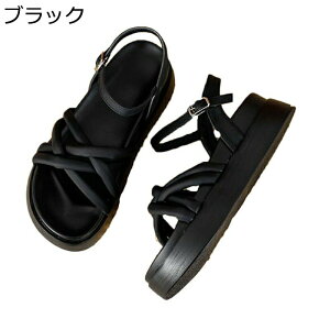 OfBG[^[ T_  [} fB[X ANXgbv I[vgD PUU[ 5cmq[ tďH n ʋC ɂ tBbg o W[ GKg