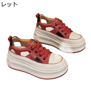 Xj[J[T_ T_  fB[X [Jbg 6cmq[ N[YhgD [XAbv oCJ[  X|[cT_ tďH ϖՐ ʋC h EH[LO