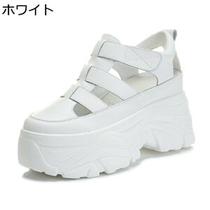 OfBG[^[ T_  fB[X t@Xi[ vbgtH[ 8cmq[ [} N[YhgD PUU[   JWA ~ h X|[c W[p