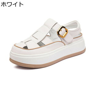 OfBG[^[ T_  fB[X [} N[YgD 5cmq[ PUU[ oCJ[ v   ʋC ɂ Sn ₷ ig AEghA s