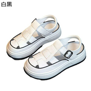 OfBG[^[ T_  fB[X [} N[YgD 5cmq[ PUU[ oCJ[ v   ʋC ɂ Sn ₷ ig AEghA s