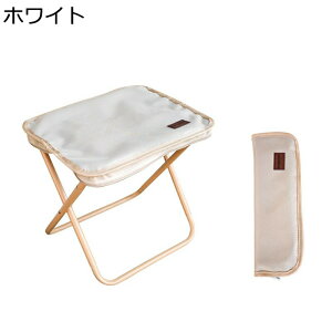 AEghA`FA ܂肽݃`FA ܂肽݃Xc[ ω׏d150kg [obOt |[^u y Lv֎q RpNg gsv s ނ oR gѕ֗