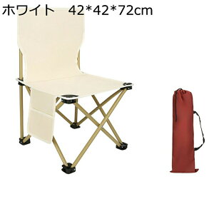 AEghA`FA ܂肽݃`FA ω׏d100kg ܂肽݈֎q y ܂݈֎q ^ѕ֗ [obOt [֗ s Lv ނ nCLO C Ԍ