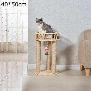 L L^[ ߂Ƃ Lbg^[ 50cm VRTCU  ؐ ܌ ߂Ƃ |[ L̂t Q^[ ȒPgݗ ˂̂ 낵W] ]|h~ 