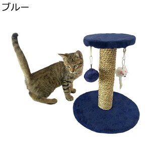 L ߂Ƃ TCUR ܌ ||t ܂݂|[ L  ܂Ƃz_[  ^L ]|h~ u Lpi    x ˂ ߂Ƃ ȃX