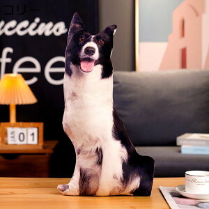 �C�k�����܂��� �ʂ������ �� �N�b�V���� �����Q�N�b�V���� ���� ���A�� 3D �����ʂ������ �C���������N�b�V���� �������� �����܂��� �D����� �q�� �C���e���A �������� �o�Y�j�� �X�g��