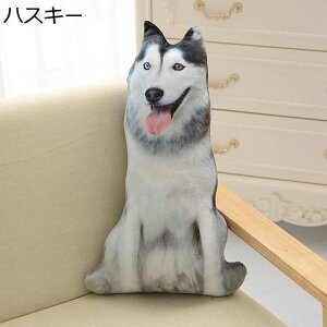 Ck܂ ʂ  NbV QNbV  A 3D ʂ CNbV  ܂ D q CeA  oYj Xg