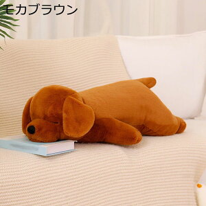  ʂ  NbV A YQ   G ӂӂ _炩  { Ckʂ 傫TCY QĂ錢 Mtg v[g \t@ Ce