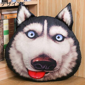 nXL[ ʂ NbV 3D   Q \t@[w A ӂӂʂ n 􂦂 y j̎q ގ q Mtg v[g xbh[ ˂ނ