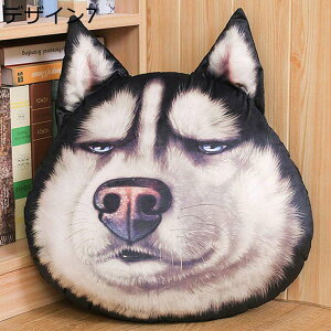 nXL[ ʂ NbV 3D   Q \t@[w A ӂӂʂ n 􂦂 y j̎q ގ q Mtg v[g xbh[ ˂ނ