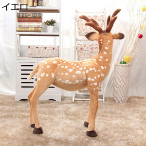 wWJ ܂ A ʂ D  NX}X f u {  ʂ IV  j I[ig X 蕨 NX}Xc