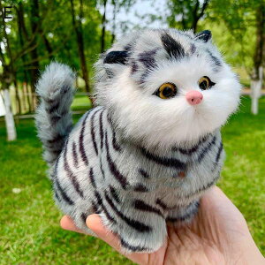 Lʂ  lR {   IW O[ 5 VM[ LD  av[g A  ӂӂ  ?Ղ o^Cf[ Ԃ̑ JXj 