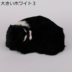 A Lʂ ˂ u   lR  ё ӂӂ f VM[  ʂ 킢 LbY ԗp av[g  Be 