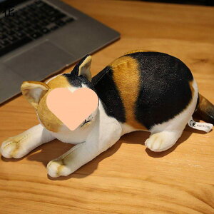 ˂D A Qp QNbV  rbOTCY ߋ \t@[ {fB 킢 tt INS XgX 􂦂  Ƒ l a  蕨 LO