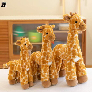 D L  Q YQ LN^[  A QT|[g  _炩  ͋C 􂦂 K[th {[Cth l炵 ʐ^Be e