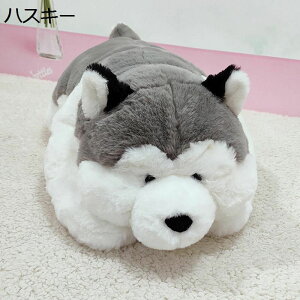 nXL[  ʂ  QNbV LN^[ ߋ ₷Q Q XgX  C 􂦂 Jbv LbY FB Mtg X CeA Cxg