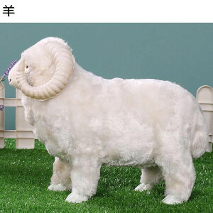 r D A qcW LN^[ u  ܂  _炩 ȗr  􂦂 qǂ ̎q j̎q Mtg X CeA Be ObY ԗp