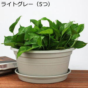 Aؔ v^[ t[|bg vX`bN Ԗ؃v^[{bNX ϗtA O  rt 󂯎Mt ϋv ؍͔| K[fjO Vv I  ƒ؉ |pi