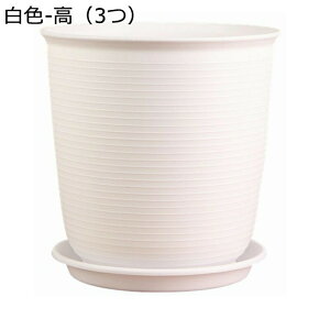 Aؔ v^[  ϗtA  n[u A  O  ͂蔫 rt Mt ϋv A T{e |pi CeA   Vv rO[ 