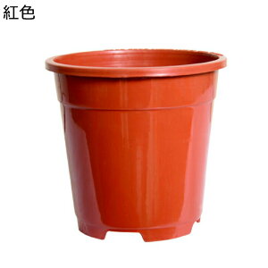 Aؔ vX`bN c|bg A T{e v^[e t[|bg ͂蔫 󂯎Mt AւȒP ϋv  Vv 㕗 ԍ͔|Kp ϗtA n[uKp 