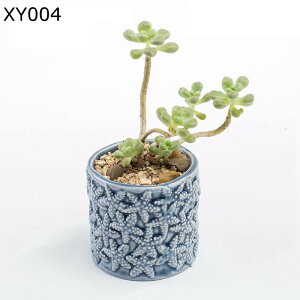 ~j v^[ A Aؔ 킢 ObY ̑A ~͔ A u  ꌊ | K[f ϗtA ȑA ~jAKp   