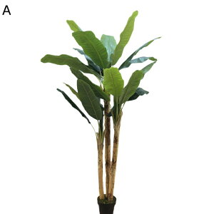 lHϗtA tFCNO[ ^ 傫TCY A AJp[ CeAO[ lHt ^Ηt { ϗtA lHA ϗt sv Q쏜sv C