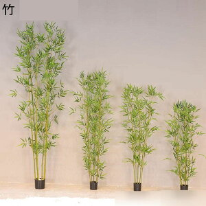 lHϗtA | ؕ 傫TCY ^ A ԗ΂̊y { CeAO[ tFCNO[ ^ fR[V ͂ȂO[ lHt lHA ϗt 