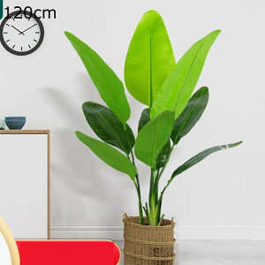 CeAO[ ^Ηt 傫TCY lHϗtA A { ^ tFCNO[ sv ͂ȂO[ lHA ϗt ϗtA K[f   