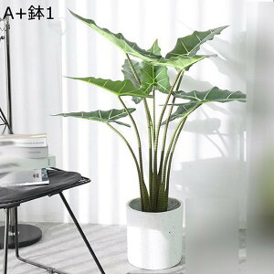 hE_ccW tFCNO[ A ^Ηt lHt lHϗtA CeAO[ { ϗtA ϗt lHA ͂Ȃ sv A 