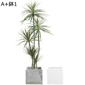 tFCNO[ Mъϗt Xe̗t ^Ηt lHt  ֏ CeAO[ A { lHA ϗt Q쏜sv k CeA EFf