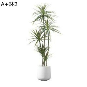 tFCNO[ Mъϗt Xe̗t ^Ηt lHt  ֏ CeAO[ A { lHA ϗt Q쏜sv k CeA EFf