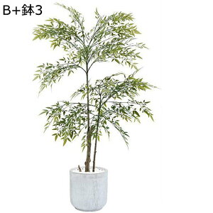 tFCNO[ CeAO[   Be[W a ^Ηt A lHϗtA { lHA ϗt lHt x_ bsv ͂Ȃ /O