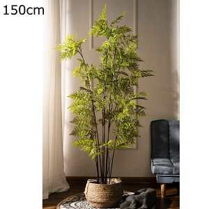 tFCNO[ ԕr Ȗ k AA Mъϗt T{e lHϗtA CeAO[ lHt ^Ηt { lHA ͂Ȃ sv X /