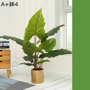 ԃO[ Ηt 傫TCY tFCNO[ Ύ A lHϗtA ^ CeAO[ lHt { ϗtA ͂Ȃ bsv /O 