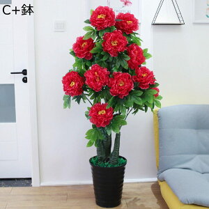 tFCNO[  O   lHϗtA CeAO[ ^ 傫TCY { ϗtA lHA ϗt sv Q쏜sv  LO  M