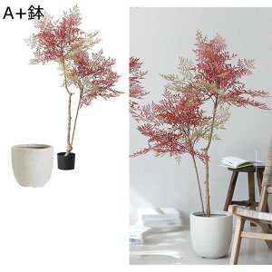 tFCNO[ bh O[ hZi CeAO[ a a ap ^Ηt A Mъϗt { lHA lHt bsv ͂ȂO[ t[Mt