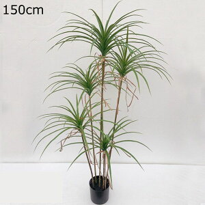 フェイクグリーン リアル 人工観葉植物 インテリアグリーン 人工葉っぱ 部屋飾り 大型 大きいサイズ 大型緑葉 本物そっくり 枯れないグリーン 観葉植物 人工植物装飾 観葉樹 枯れない 水や